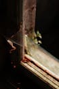 Detailed view of a decaying windowsill with spiderwebs in an abandoned building.